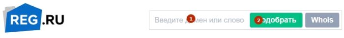 поле для проверки домена