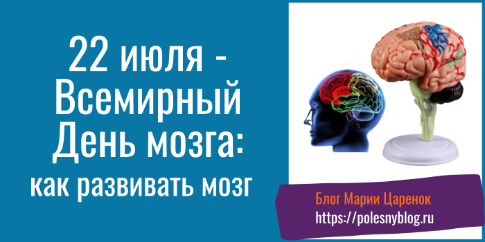 День мозга